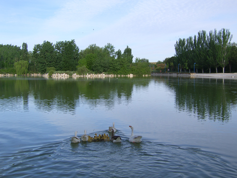 Lago del Parque Natural El Soto