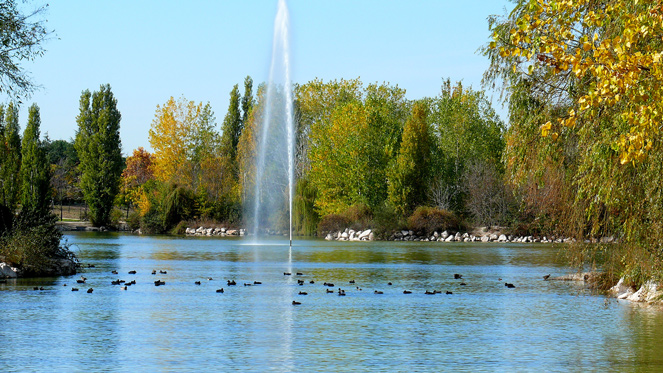 Lago del Parque Natural El Soto